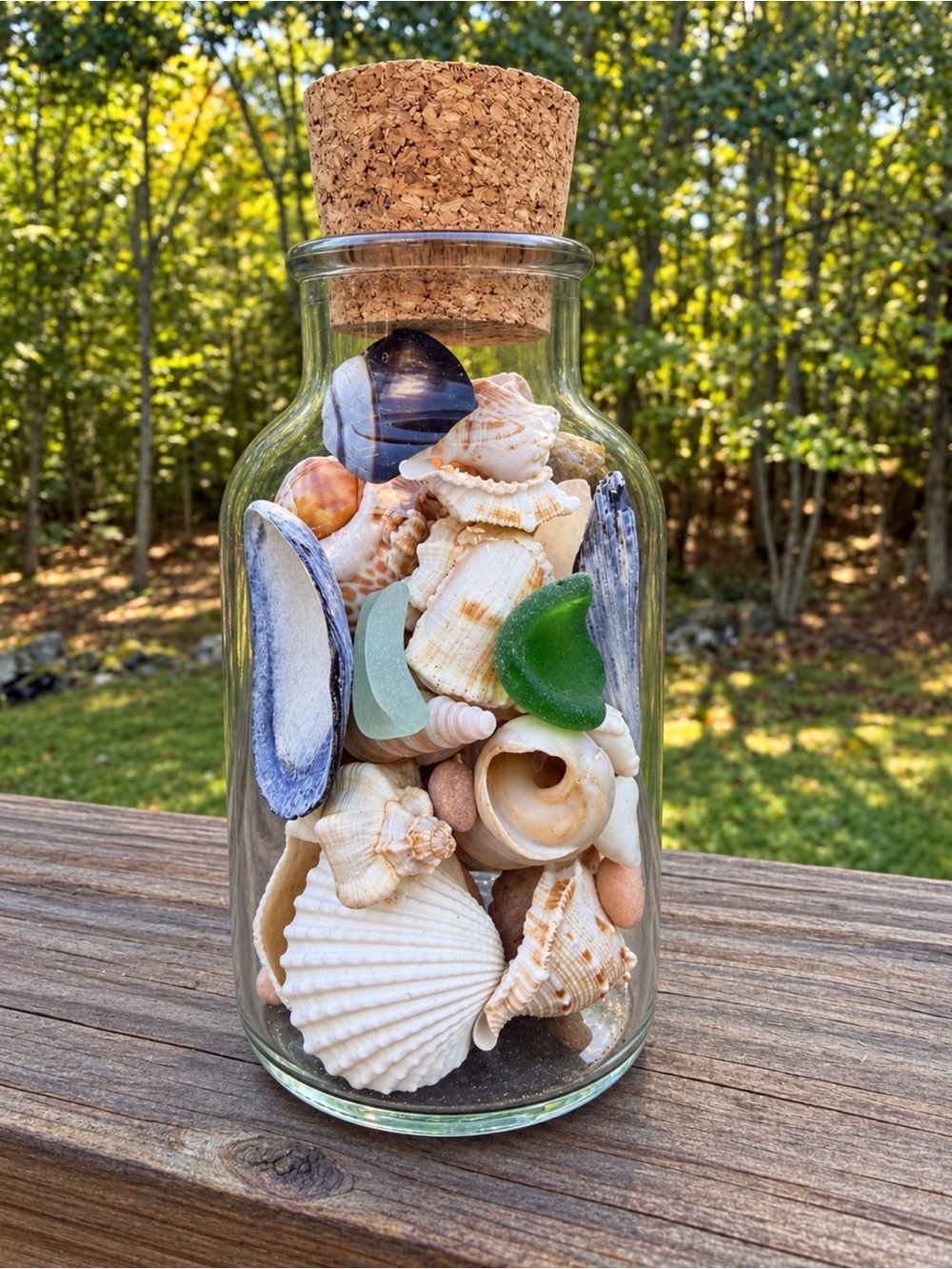 Cork Topped Bottle | SeaShells | SeaGlass